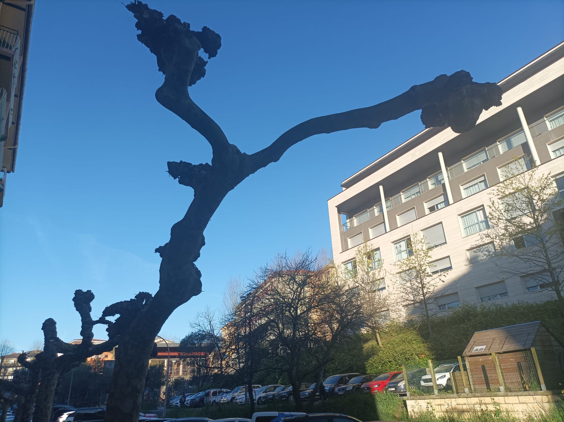 Buelta da eguzkiaren indarra