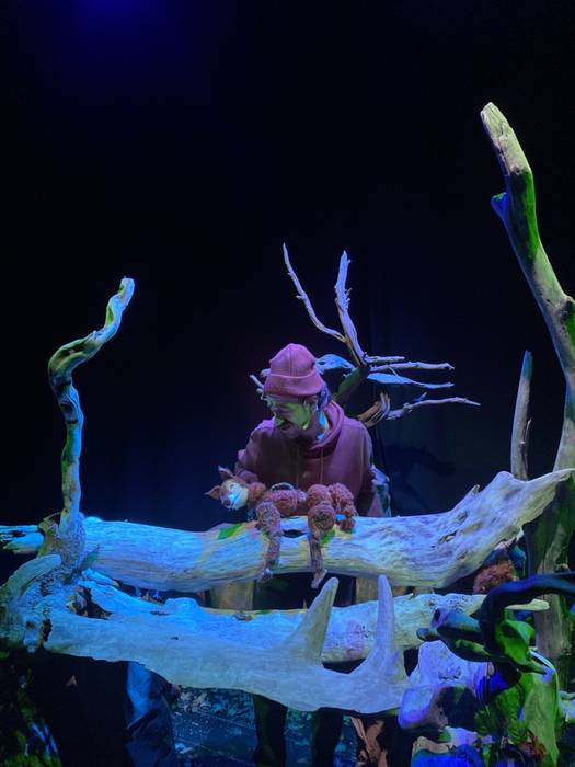 Natura basatiaren eta bizikidetzaren arteko orekari buruz hausnartzeko tartea gaur, etxeko txikiek