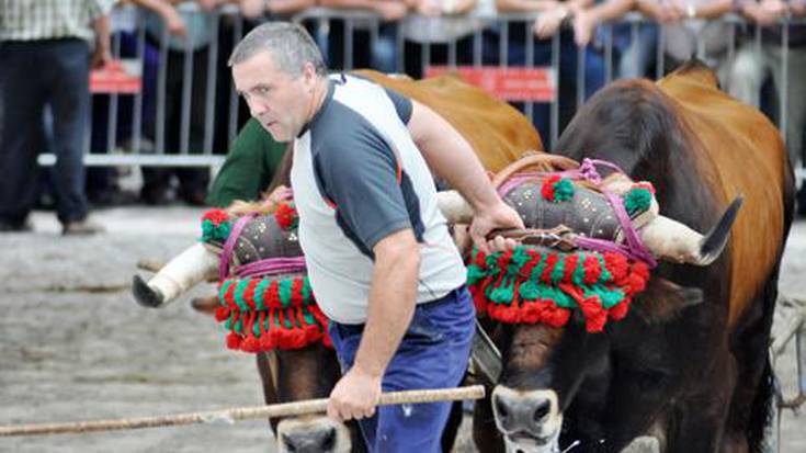 Agur Ergobiko festei, 
eta ongi etorri, Kabilakoei