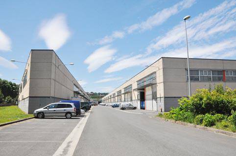 Polemika sortu du Gipuzkoako industrialdeak elkartzeko erabakiak