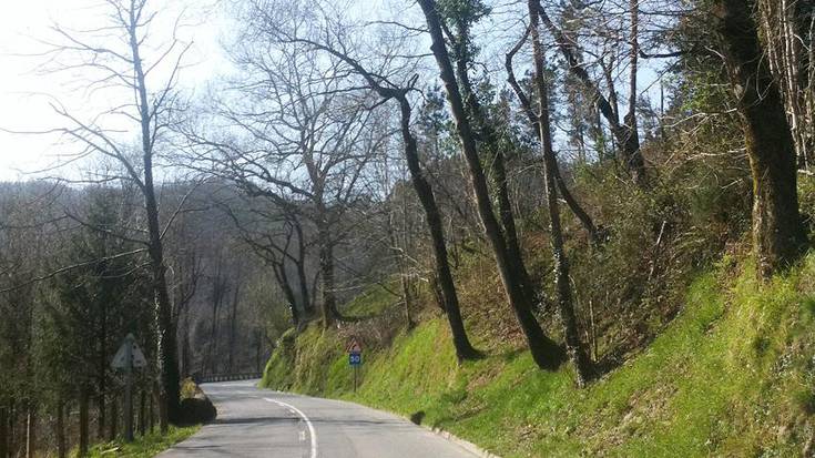 Zuhaitzak kimatzen, Lastaolatik Naparraldera