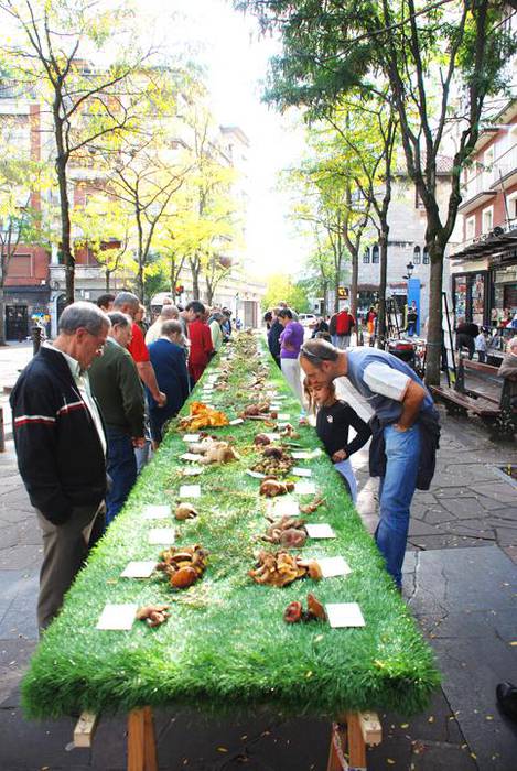 Perretxikoei buruzko argazki erakusketarekin hasiko dira astelehenean mikologia jardunaldiak
