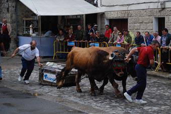 Festa giroa erraz topatzeko aukera gaur Ergobiko jaietan