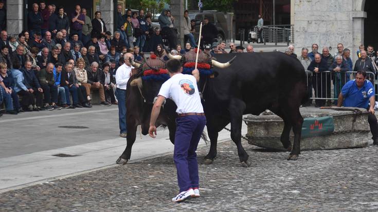 Festa goxoarekin ospatuko dute Baserritarren Eguna gaur, bailaran