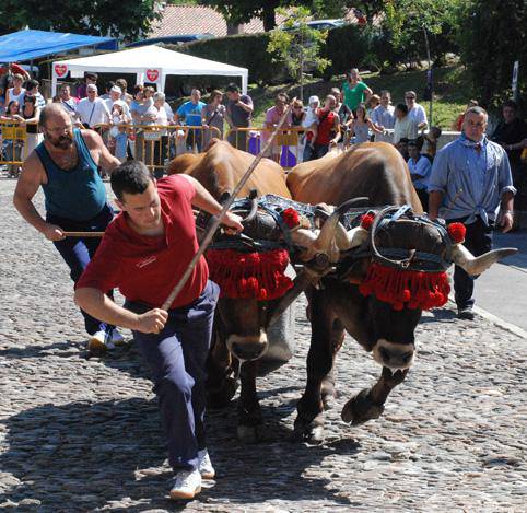 Santa Ana egun haundia ospatzeko, 
dastaketa, bertsolariak, herri kirolak eta dema gaur