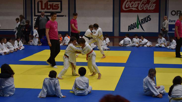 Denboraldi berria, judokek