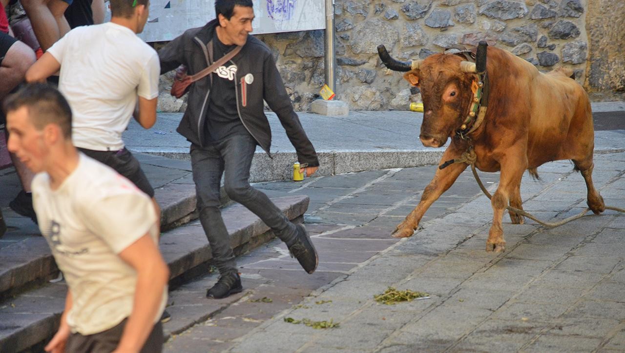Animalien erabilera jaietan: Elkarrizketaren bidez konpondu beharreko auzi korapilatsua