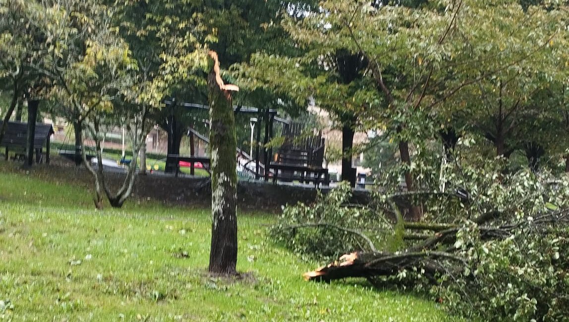 Haize bolada hainbat kalte eragin zituzten bailaran