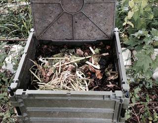 Erraztasunak, konposta egiten hasteko