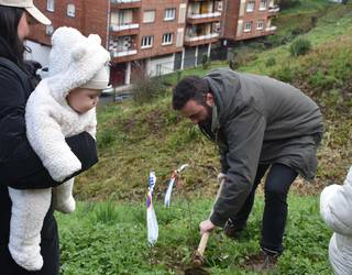 Zuhaitz Eguna ospatuko dute gaur, Anuskan