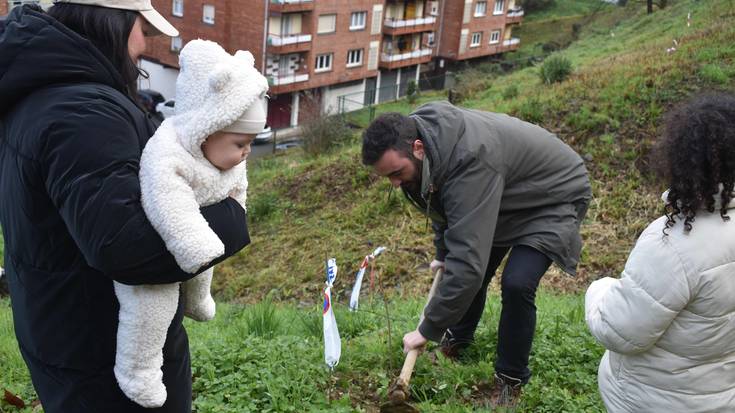 Zuhaitz Eguna ospatuko dute gaur, Anuskan