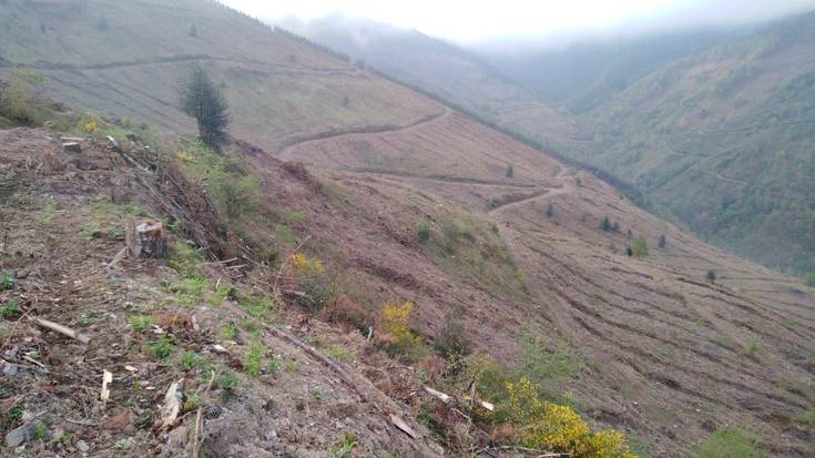 Haritzalde Naturzaleen elkarteak «atentatu ekologikoa» salatu nahi du