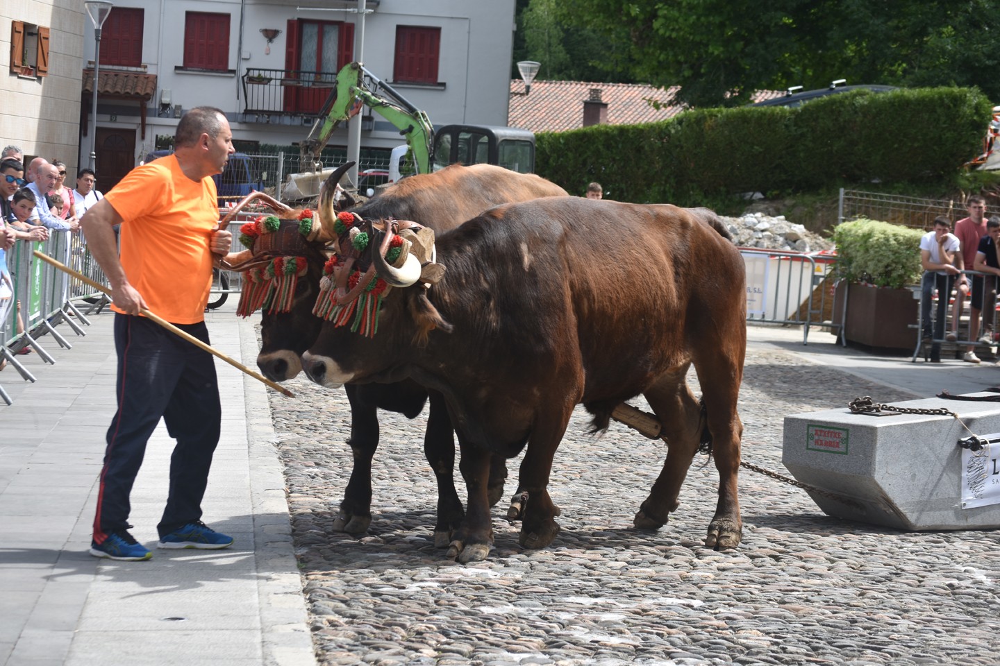 San Isidro egun haundia ospatuko dute gaur baserritarrek Astigarragan eta Hernanin