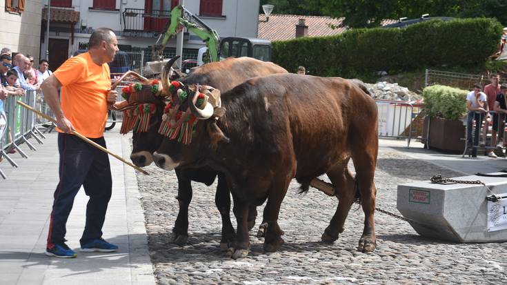 San Isidro egun haundia ospatuko dute gaur baserritarrek Astigarragan eta Hernanin