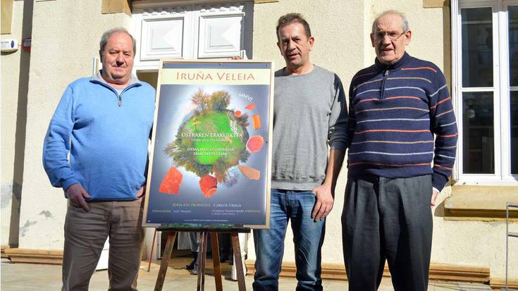 Iruña Veleiako ostraken abenturan murgiltzeko aukera, gaurtik aurrera