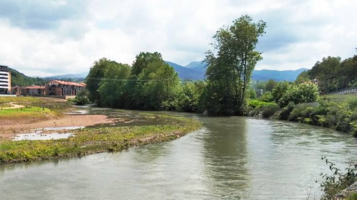 Haritzalde Naturzaleen Elkartearen laguntzarekin, landare inbaditzaileak auzolanean kenduko dira gaur