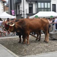 Astigarragako Santioak - U26