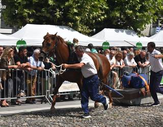 Santioak - Uztailak 26: Santa Ana eguneko ospakizuna