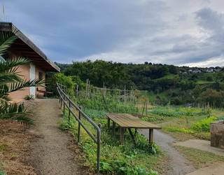 Udal baratzetako 70 partzelen zozketa egingo dute gaur eguerdian