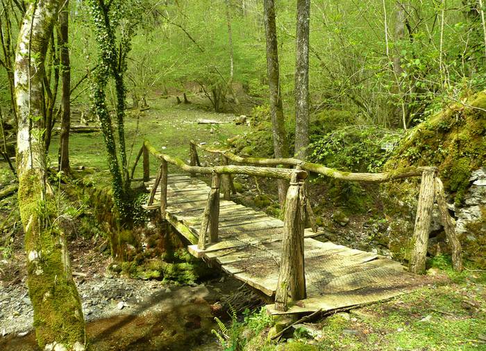 Artikutzako bazterrak ezagutuz, larunbatean