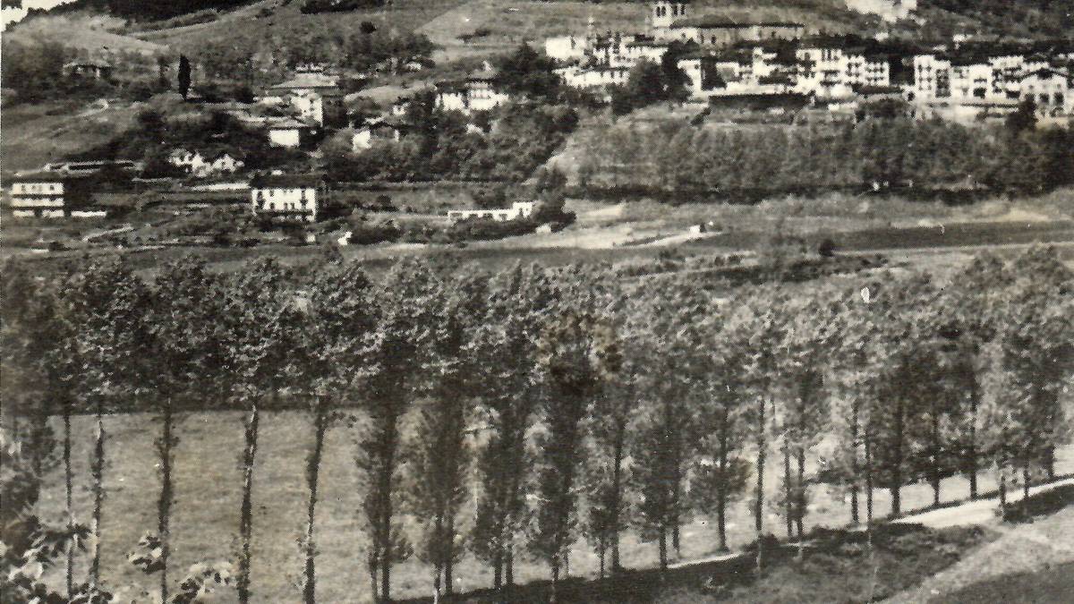 120 urte bete dira gaur, Hernaniko aurreneko Zuhaitz Egunetik