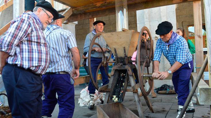 Sagar uzta festan, pintxopotea ere bai