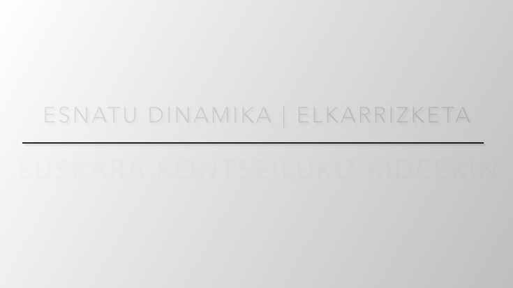 UEMAren Esnatu dinamikari buruz solasean, Hernaniko Euskara Kontseiluko kideekin