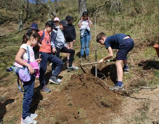 Goizuetako Zuhaitz Egunaren 120. urteurrena, festa giroan