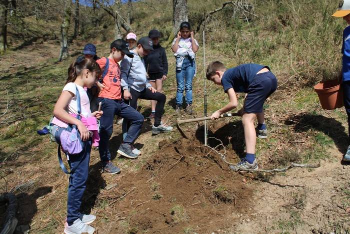 Goizuetako Zuhaitz Egunaren 120. urteurrena, festa giroan