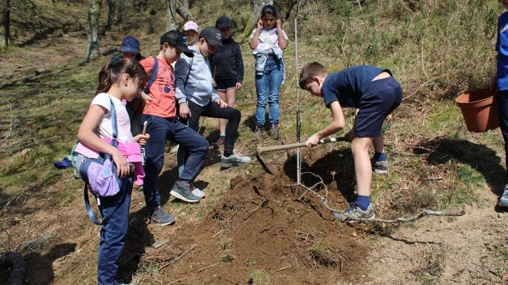 Goizuetako Zuhaitz Egunaren 120. urteurrena, festa giroan