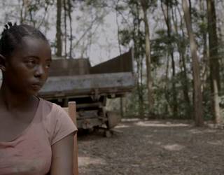 Hariak zinemaldiak eskainiko ditu punta puntako hamabi dokumental eta solasaldi