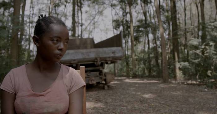 Hariak zinemaldiak eskainiko ditu punta puntako hamabi dokumental eta solasaldi