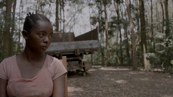 Hariak zinemaldiak eskainiko ditu punta puntako hamabi dokumental eta solasaldi