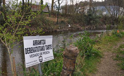 Gaur irekiko da amuarrainak arrantzatzeko beda
