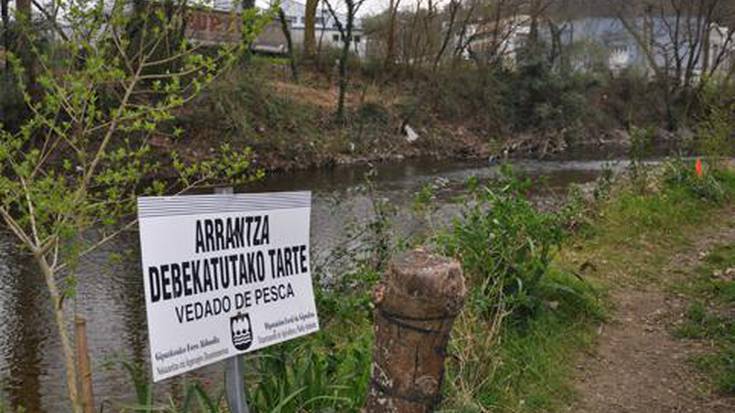 Gaur irekiko da amuarrainak arrantzatzeko beda