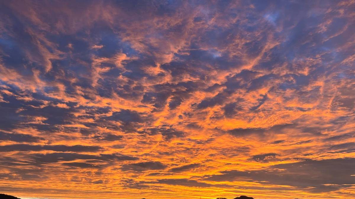 Goiz hori, atsaldian pote bat edo bi