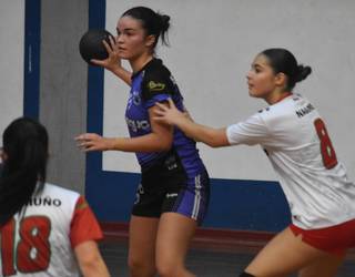 Eskubaloi taldea, 2013-2014ko neska bila