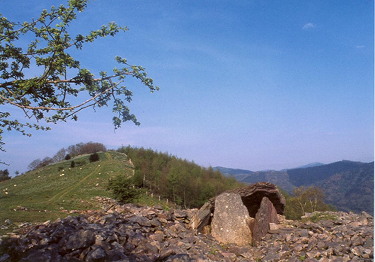 Akola inguruan ibilaldia, natura eta euskeraren arteko lotura hartuta