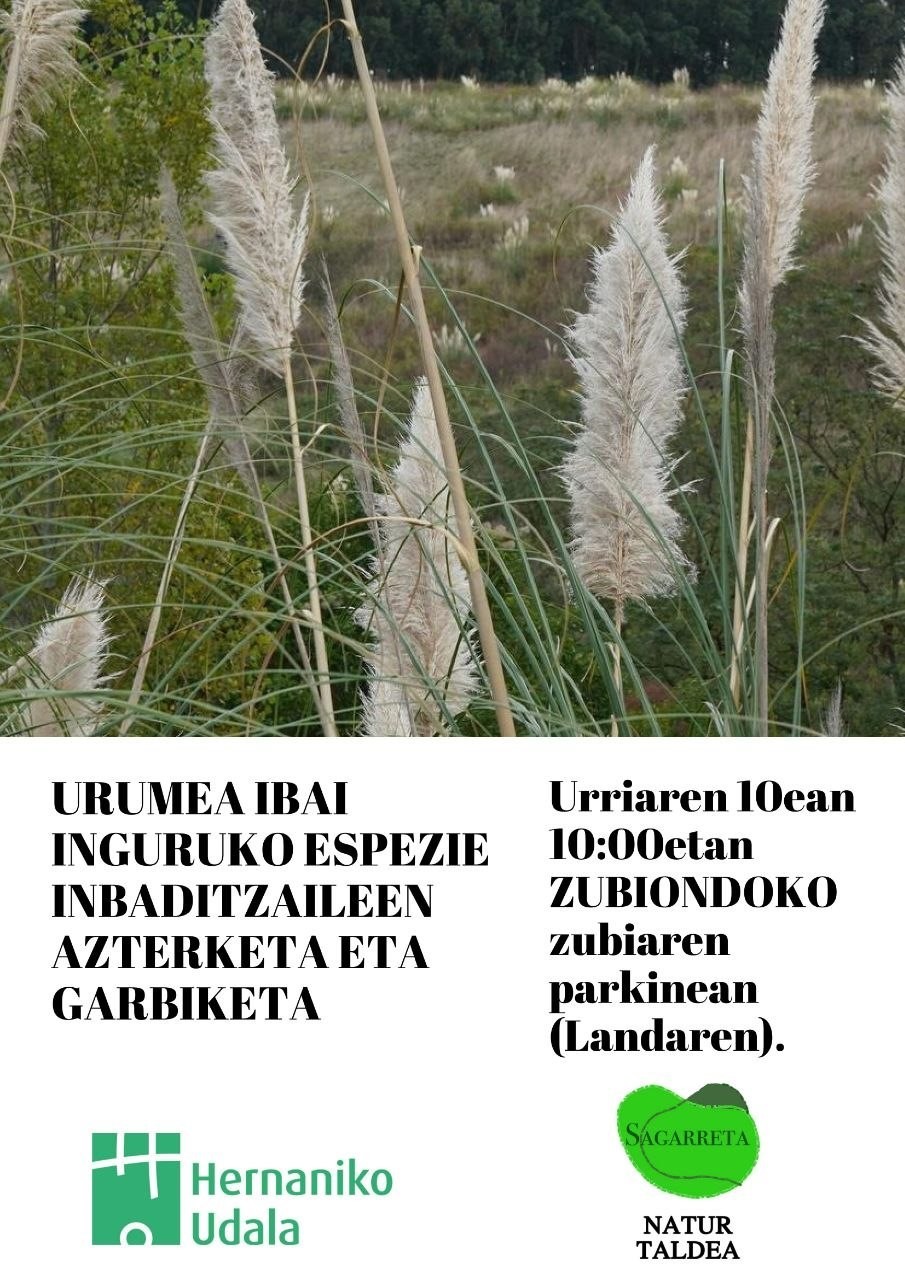Urumea ibaiko espezie inbaditzaileen garbiketa, larunbat honetan