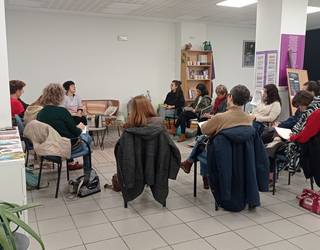 Desgaitasun fisikoa duten emakumeen aurkako indarkeria, mintzagai