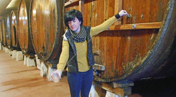 «Bi berezitasun dauzka aurtengo uztak: Gipuzkoako sagarrak eta Euskal Sagardoa Jatorri Deitura»