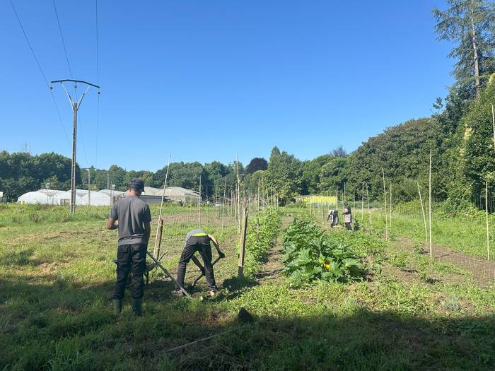 31 pertsonak hartu dute parte Nekazaritza-Eskolako formakuntzan