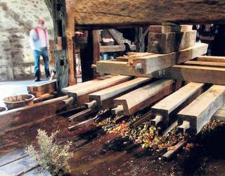 Gipuzkoako dolareak: Dolare-baserritik prentsa elektrikora