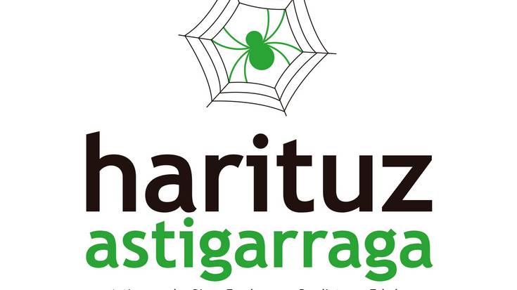 Bertan behera gelditu da Violeta kontzertua