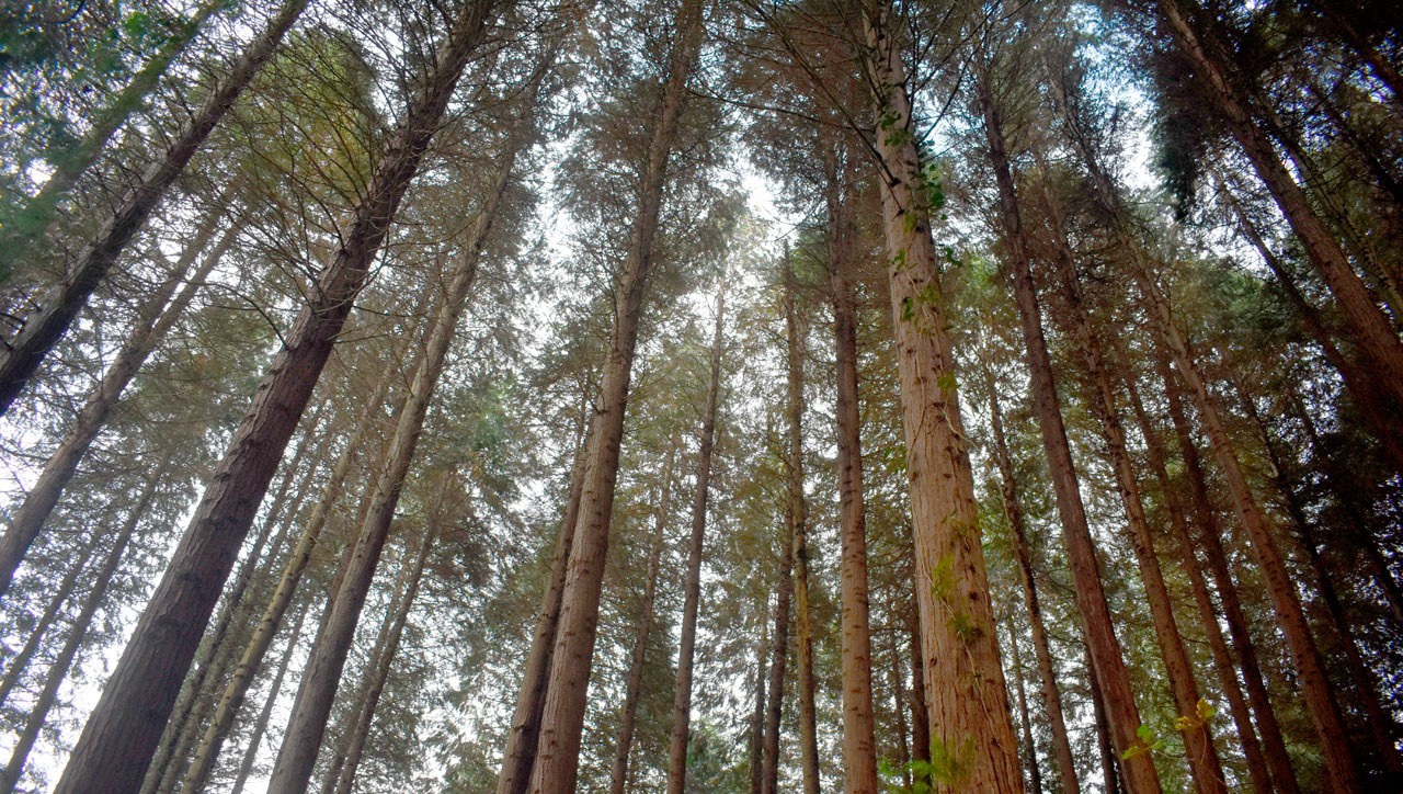 Krisi ekonomikoa eta ekologikoa  hizpide, Biterin