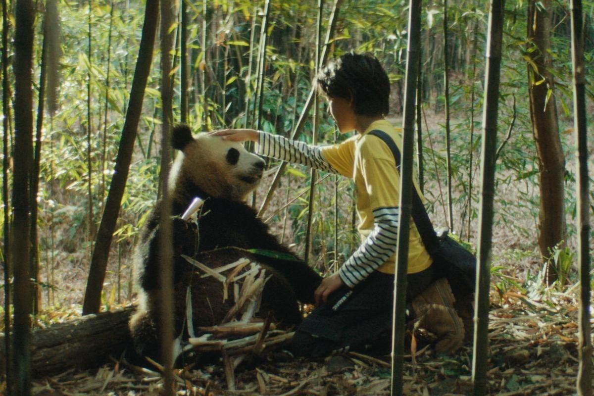 'Moon, mi amigo panda' eta 'Mision  imposible' gaurtik Biterin