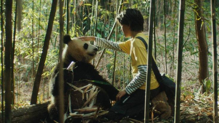 'Moon, mi amigo panda' eta 'Mision  imposible' gaurtik Biterin