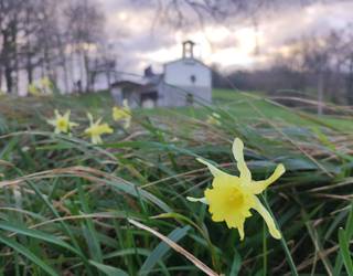 Ihauterietan loratu da karnabal-loria