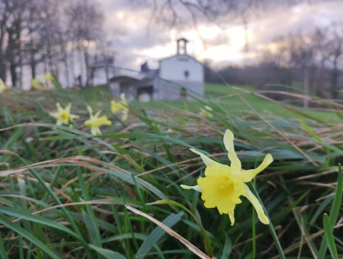 Ihauterietan loratu da karnabal-loria