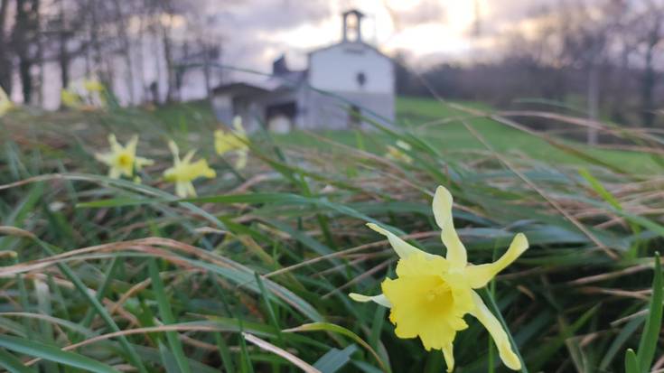 Ihauterietan loratu da karnabal-loria